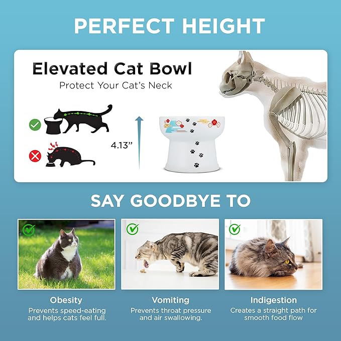 Necoichi Elevated Cat Water Bowl – Ceramic Raised Cat Bowl, Prevents Neck & Whisker Fatigue – Dishwasher & Microwave Safe – Pet Water Bowl for Cats (Fuji, Extra Tall)
