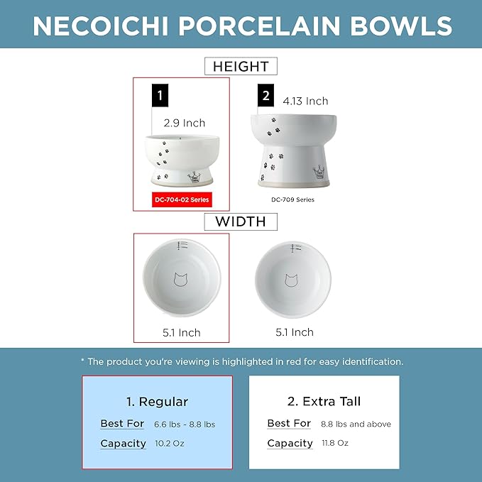 Necoichi Elevated Cat Water Bowl – Ceramic Raised Cat Bowl, Prevents Neck & Whisker Fatigue – Dishwasher & Microwave Safe – Pet Water Bowl for Cats (Fuji, Regular)
