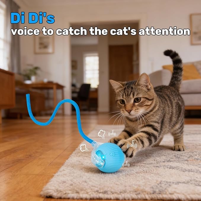 Cat Toy, Electric Interactive Toys for Indoor Cats, Blue