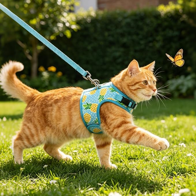 BINGPET Cat Harness and Leash Set Escape Proof, Fashionable Adjustable Mesh Harness for Walking, Soft Cute Breathable Easy Control Cat Vest for Kitten Puppy Small Medium Large Cats