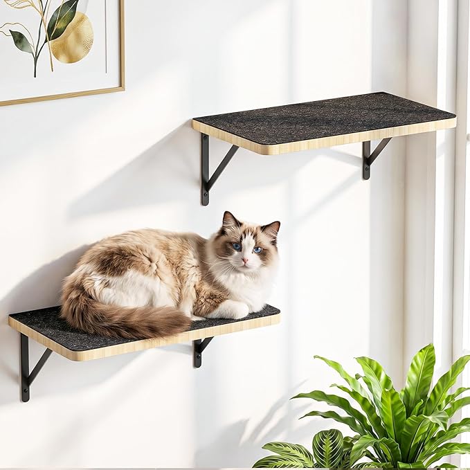 Cat Wall Shelves, 17 x 10 Inch Cat Walls Furniture, Wood Floating Shelf with Upgraded Installation, Kitten Wall Tree for Sleeping, Playing Climbing and Scratching