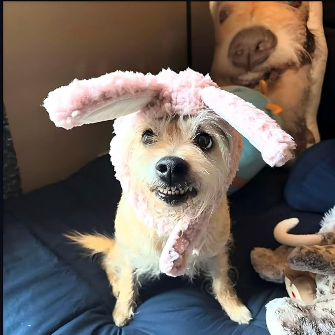 Rabbit Ears Hat for Cats & Small Dogs - Adjustable Plush Bunny Costume Headband for Easter, Halloween & Pet Party Dress Up (Pink)