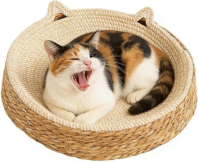 Breathable Cotton Rope Woven Durable Interactive ClawCare FurnitureProtecto Antislip Lightweight Activity Exercise Enrichment Play Kitten Grooming Protection Home Living