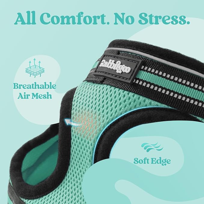 rabbitgoo Cat Harness and Leash Set for Walking Escape Proof, Adjustable Soft Kittens Vest with Reflective Strip for Cats, Comfortable Outdoor Vest,Green,L