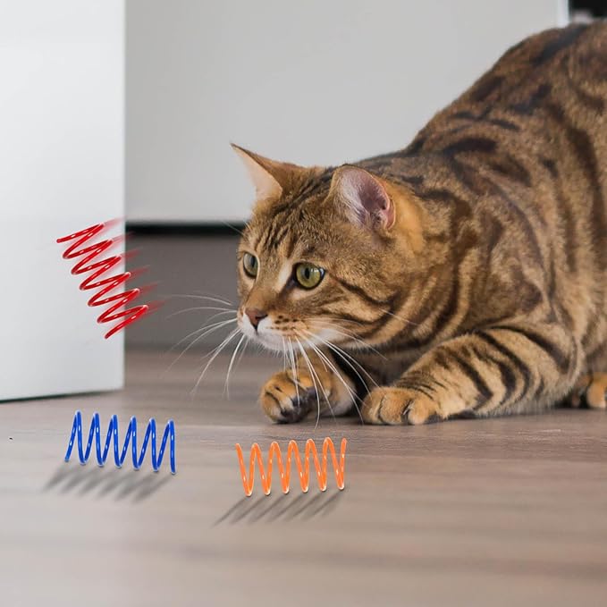 100 Pack 10 Colors Cat Spring Toys, Plastic Spiral Spring Cat Toys for Indoor Cats, Colorful Interactive Toy for Kittens, Cat Exercise Toys for Active Play