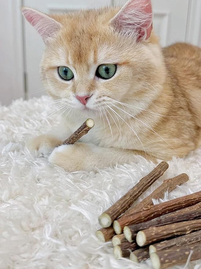 5 Pack Silvervine Sticks for Cats, Natural Cat Chew Toys for Teeth Cleaning, Kitten Teething Toys for Indoor Cats & Aggressive Chewers, Dental Care Slivervine Sticks