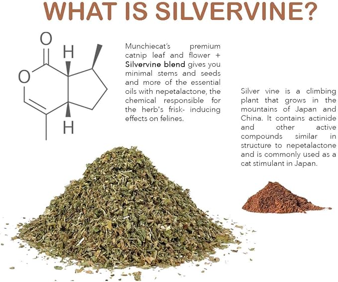 Feline Fantasy Blend, Silvervine: USDA Certified Organic American Catnip w Silvervine Matatabi , 1 Cup Refill - Eco-Safe, Freshness-Sealed - A Purrfect Treat for Your Feline (Eco Silvervine Mix)