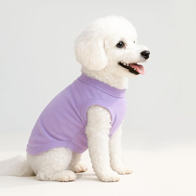 2 Pieces Dog Clothes for Small Dogs Girl Boy Spring Summer Soft Puppy Shirt Solid Color Chihuahua Clothes Pet Clothing Cute Cat Cloth XXS~M (Rose,Purple, X-Small)