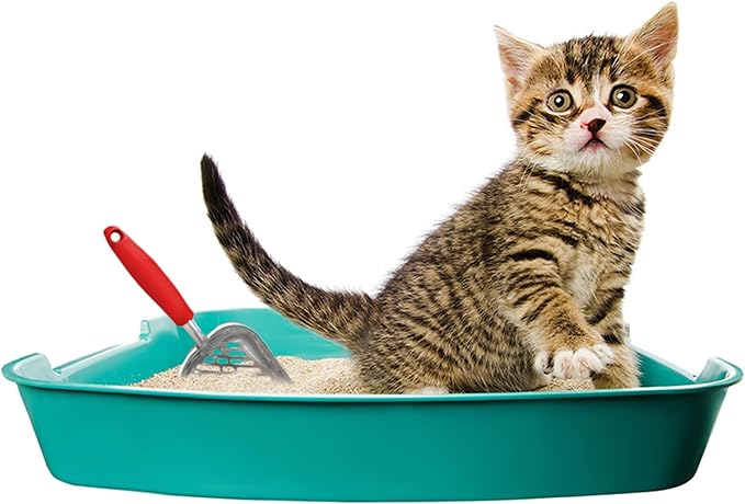 SunGrow Large Cat Litter Scoop, Life Transforming Cat Scooper, Reduces Hand Fatigue, Use with Small Litter Type, Saves Clear Litter, Makes Scooping Faster and Easier (Red, Large)