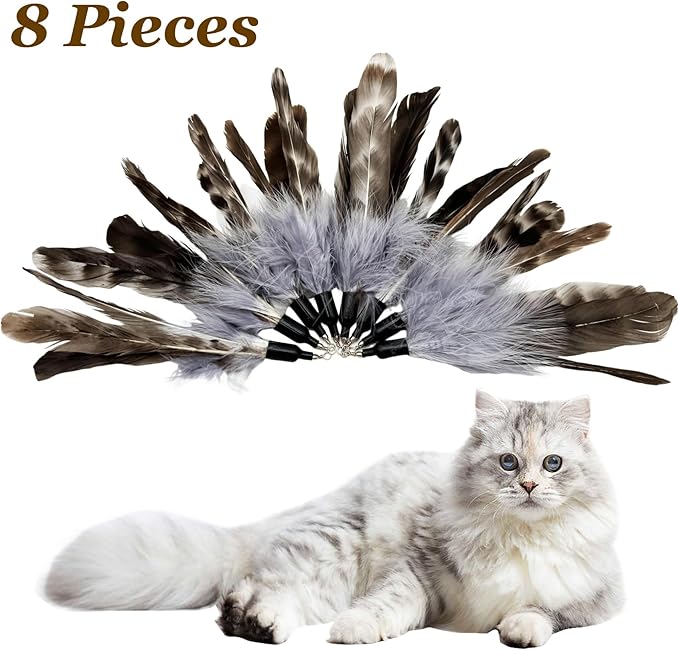 Cat Feather Toys Refills Da Bird Feathers Refills, 8 Pieces Cat Wand Replacement Feathers for Cat Toy, Brown 8PCS