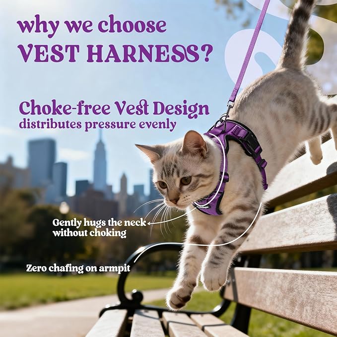 rabbitgoo Cat Harness and Leash for Walking, Escape Proof Soft Adjustable Vest Harnesses for Cats, Easy Control Breathable Reflective Strips Jacket, Purple, XXS