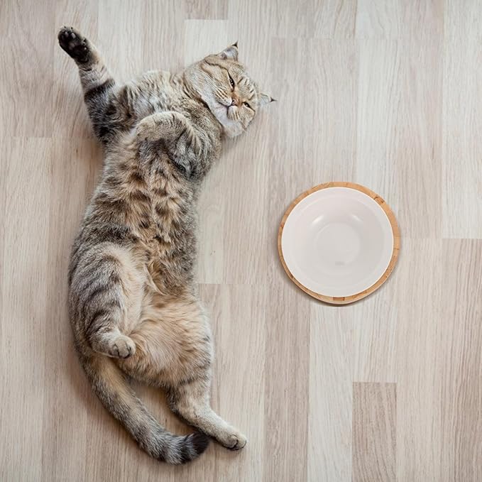 NUOBESTY Elevated Ceramic Cat Bowl with Wood Stand Anti-Vomiting Raised Pet Feeder Dish Round Single Bowl for Cat Feeding and Watering Spine Protection