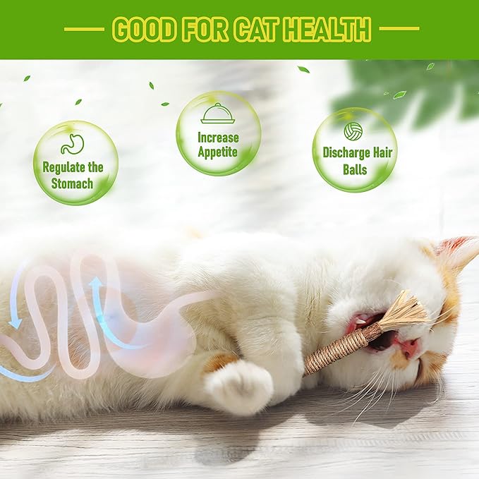 Silvervine Sticks Cat Chew Toys for Indoor Cats Dental Care Teeth Cleaning, Natural Kitten & Cat Teething Toys for Health, Cat Chew Stick Treat Edible Suitable for All Breeds of Aggressive Chewers Cat