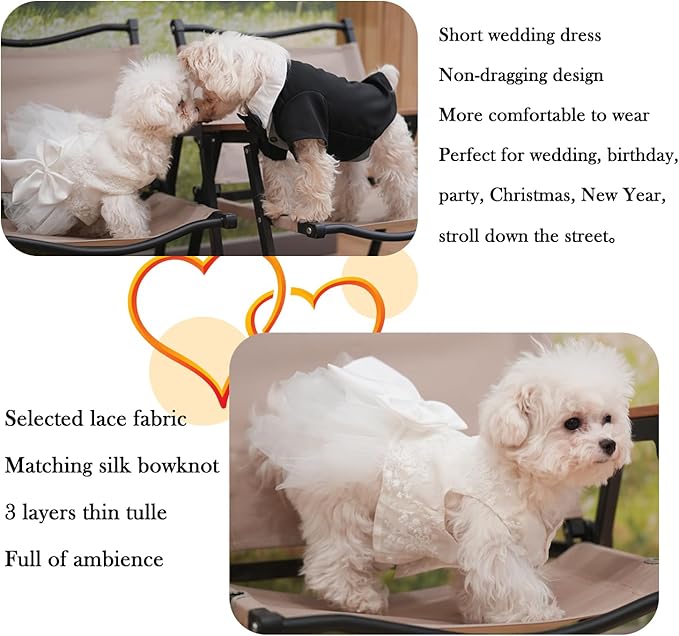 Dog Dress Wedding Outfits, Princess Lace Tutu Strappy Skirt for Female Puppy Small Medium Dogs Girl Cats Costume (Embroidery Dress, X-Large)