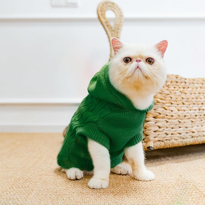 PUPTECK Winter Dog Cat Sweater Coat - Soft Cold Weather Clothes Knitwear for Kitties & Small Dogs Indoor Outdoor Walking Warm, Knitted Classic for Doggies Kitties Girls Boys, Light Green L