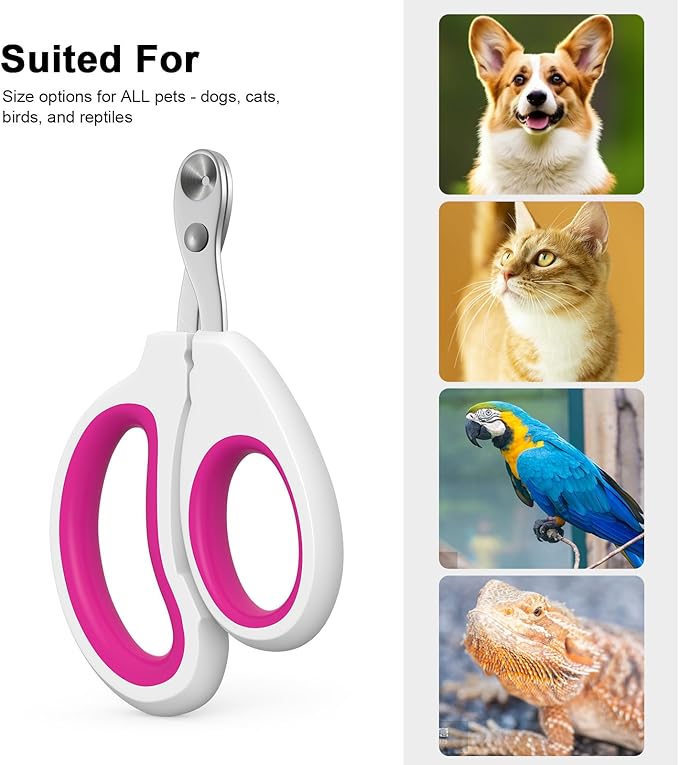 Aogeili Cat Claw Nail Clippers, Beginner Friendly Safety Trimmer, Pet Grooming Essentials Accessories with Stainless Steel Non Slip Handle for Kitten Puppy Rabbit Small Pets