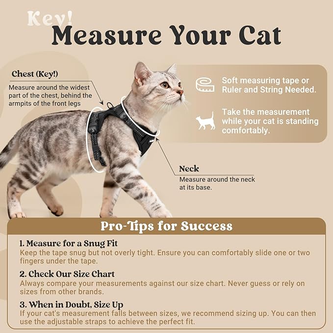 rabbitgoo Cat Harness and Leash, Escape Proof Vest with 3 Adjustable Buckles, Soft Comfortable Kitten Harness, Easy to Wear, Reflective for Safe Outdoor Walking, Medium, Black
