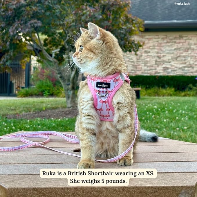 Lucy & Co. Take a Bow Step-in Cat Harness & Leash Bundle for Cats, Kittens & Small Dogs Reflective, Breathable & Adjustable, Lightweight & Secure with Dual Leash Clips Small, Neoprene & Mesh