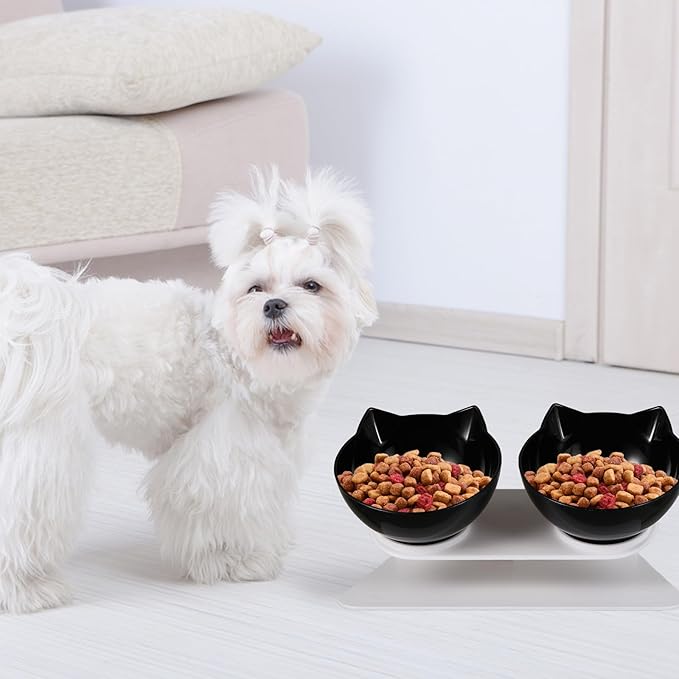 Elevated Tilted Cat Food Feeder Bowls Set, Black Plastic Raised Pet Feeding and Watering Bowls for Cats, Neck Protection Design for Comfortable Eating