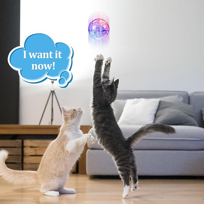 Sratte 4 Pcs Rechargeable Cat Ball Ghost Hunting Light up Cat Balls Toys Motion LED Motion Activated Flash Glowing Lighted Dog Interactive Toys Pet, Clear