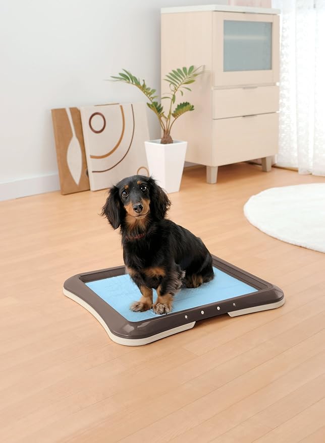 ritchel Pet Exciting Sheet Tray