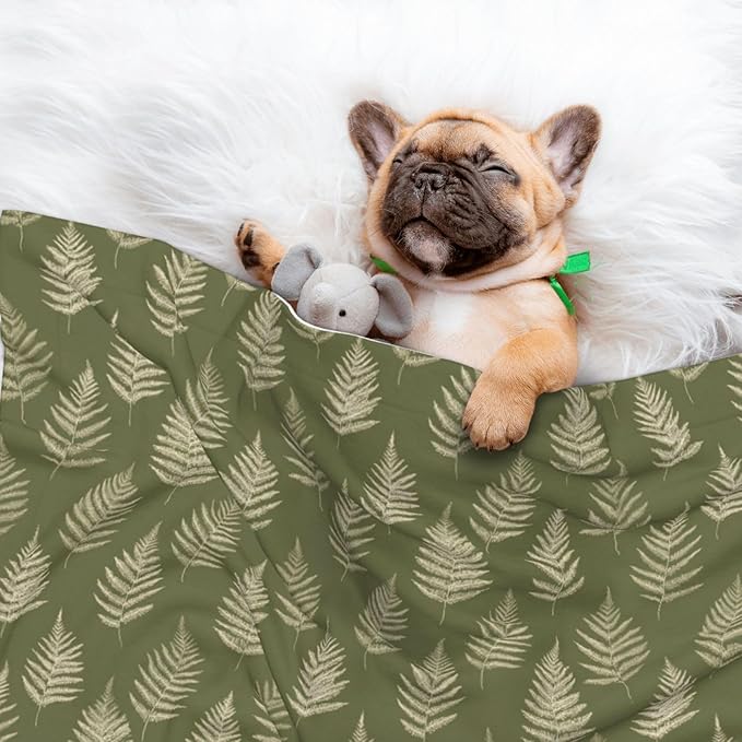 Cat Dog Blanket Cream Fern Sketches On Olive Green Ultra Soft Warming Mat for Indoor Pet Beds Furniture 27.6 X 19.7inch