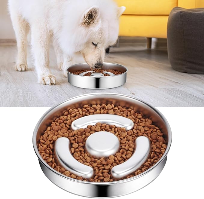 Dog and Cats Slow Feeder Stainless Steel Feeding Bowl to Stop Food Gulping for Small Puppy and Kittens Pet Slow Bowl