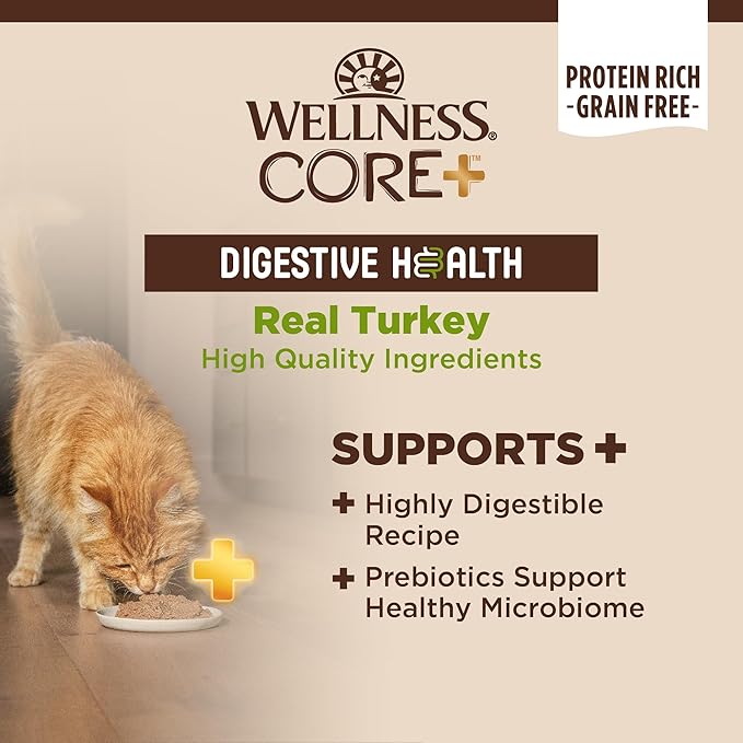Wellness CORE+ Digestive Health Pate Adult Canned Wet Cat Food, Natural, Protein Rich, Grain Free, Turkey Recipe, 3 oz, Pack of 12 Cans