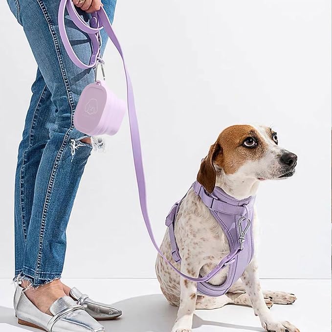 Foldable Pet Bowl Collapsible Dog Cat Bowls with Carabiners for Travel Portable Food Water Feeder for Hiking Park Purple One Size