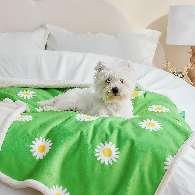 Qeils Pet Blankets for Cats - Waterproof Cat Blanket Washable - Sherpa Fleece Puppy Blanket, Soft Plush Reversible Throw Protector for Bed Couch Car Sofa, 50"X60", Daisy Flower