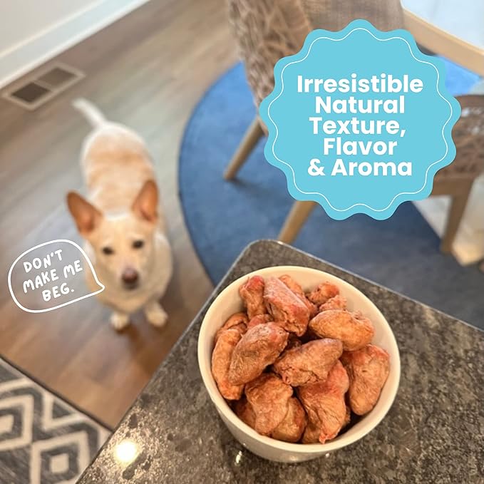 Hotspot Pets Freeze Dried Chicken Hearts for Cats & Dogs- 1LB Bag (300+pcs) USA Made, Healthy Single Ingredient All Natural Grain Free- Resealable -Perfect for Training, Topper or Snack, Allergen-Free