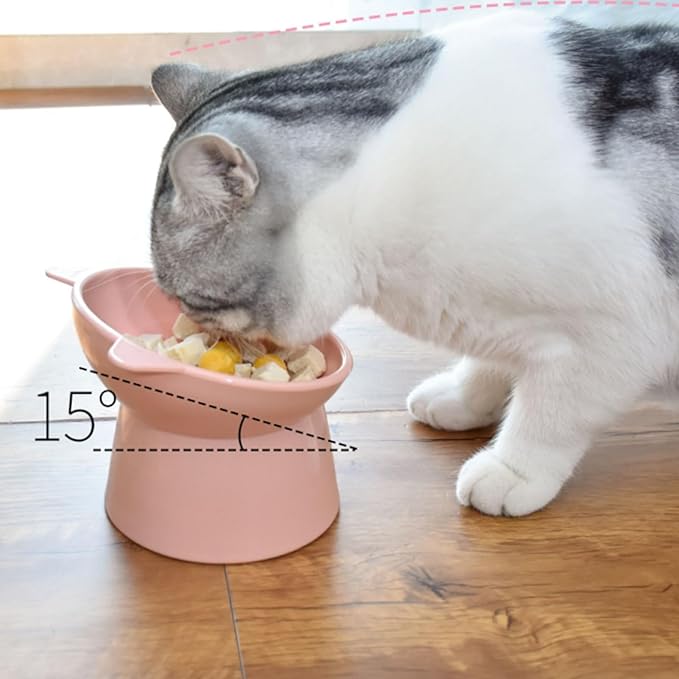 Raised Cat Food Bowl, 15° Tilted Whisker Friendly Dog Water Bowl Anti Vomiting Pet Dishes Puppy Ergonomic Feeding Set Supplies for Cats and Puppies (Pink)