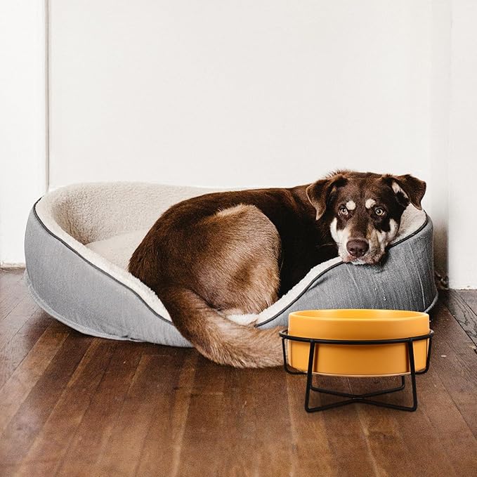 PRETYZOOM Ceramic Pet Feeder Bowl with Elevated Black Iron Stand, 14cm Yellow Cat and Dog Bowl for Spine Protection, Raised Feeding and Watering Dish for Small Pets
