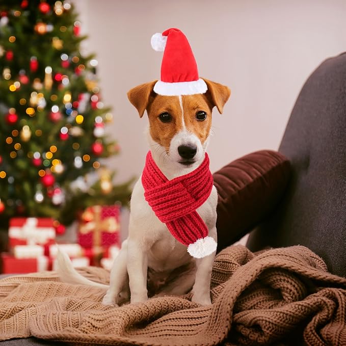 QKURT Pet Christmas Hat and Scarf Set, Dog 3D Santa Hat Adjustable Knitted Scarf Holiday Outfit Costumes for Small Medium Large Dogs Cats Pets