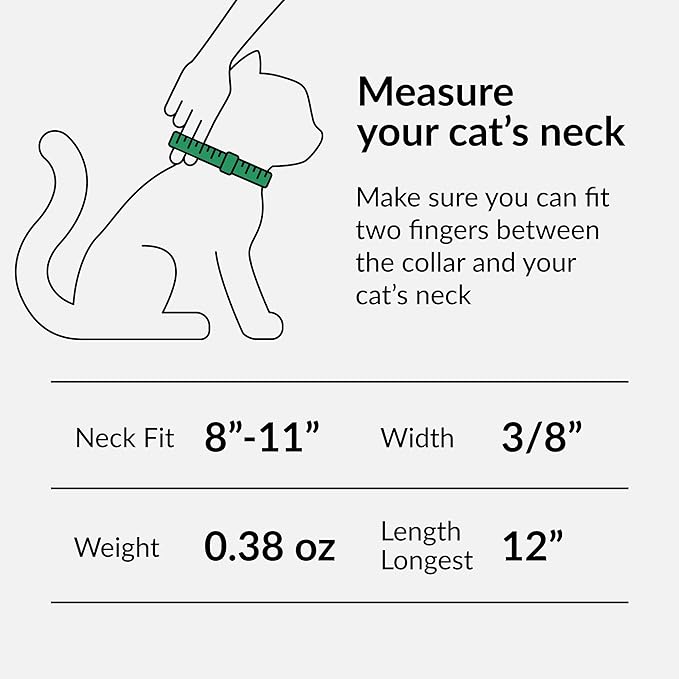 CollarDirect Leather Cat Collar with Removable Bell – Safety Elastic Strap (Breakaway Alternative) – Kitten Collar for Small & Big Boy & Girl Cats