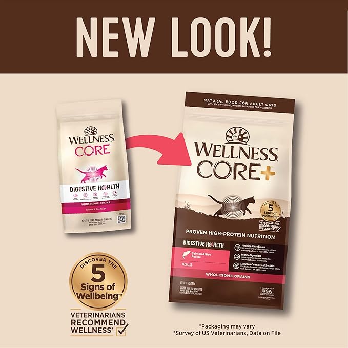 Wellness CORE+ Digestive Health Adult Dry Cat Food, Natural, Wholesome Grains Kibble, Salmon and Rice Recipe, 11 lb Bag