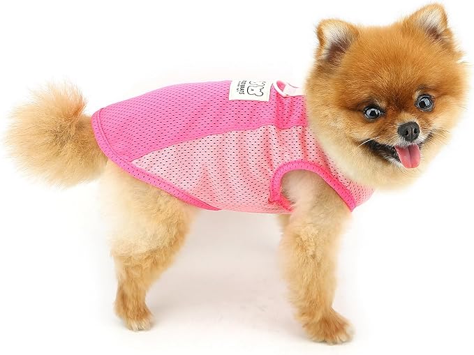 PAIDEFUL Breathable Mesh T-Shirt for Small Dogs Summer Doggie Cool Vest Soft Lightweight Puppy Tee Shirts Sleeveless Pet Tank Top Sweatshirts Cozy Chihuahua Clothes Cat Apparel D-Ring,Pink,M