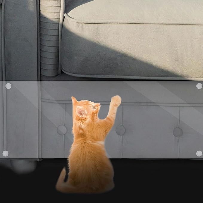 BESPORTBLE 1set Thickened Cat Scratch Furniture Protector Self-Adhesive Removable Film for Sofa Couch Bed Door Kit Scraper Fasteners Daily Use Cat Supplies