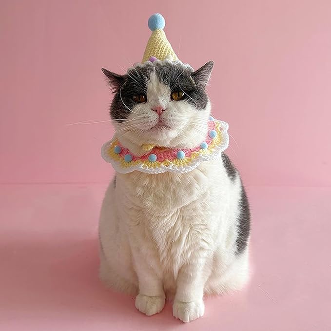 Cat Birthday Hat & Collar Set: Handcrafted Knit & Crochet Accessories for Pets, Kitten, Small Animals