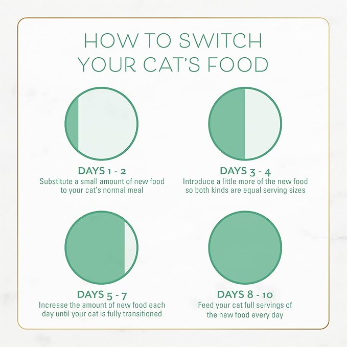 Purina Fancy Feast Dry Cat Food with Ocean Fish and Salmon - (Pack of 4) 16 oz. Bags