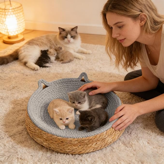 Breathable Cotton Rope Woven Durable Interactive ClawCare FurnitureProtecto Antislip Lightweight Activity Exercise Enrichment Play Kitten Grooming Protection Home Living
