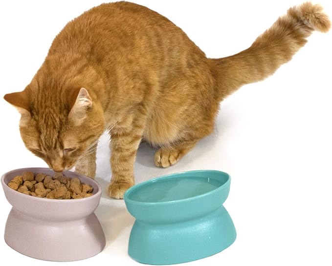 Kitty City Elevated Cat Bowls (Set of 2),Whisker-Friendly Raised Cat Food & Water Dishes,Modern Pedestal Design,Dishwasher Safe,6.5 oz Each – Teal & Light Pink,(Pack of 6)
