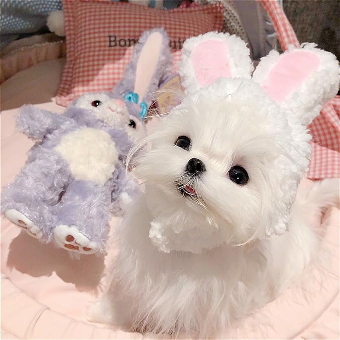 Qiansail Lion Mane Wig for Cats, Funny Bunny Ears Cute Dog Hats Cat Apparel Costume Pet Clothing Accessories for Halloween Cosplay Party