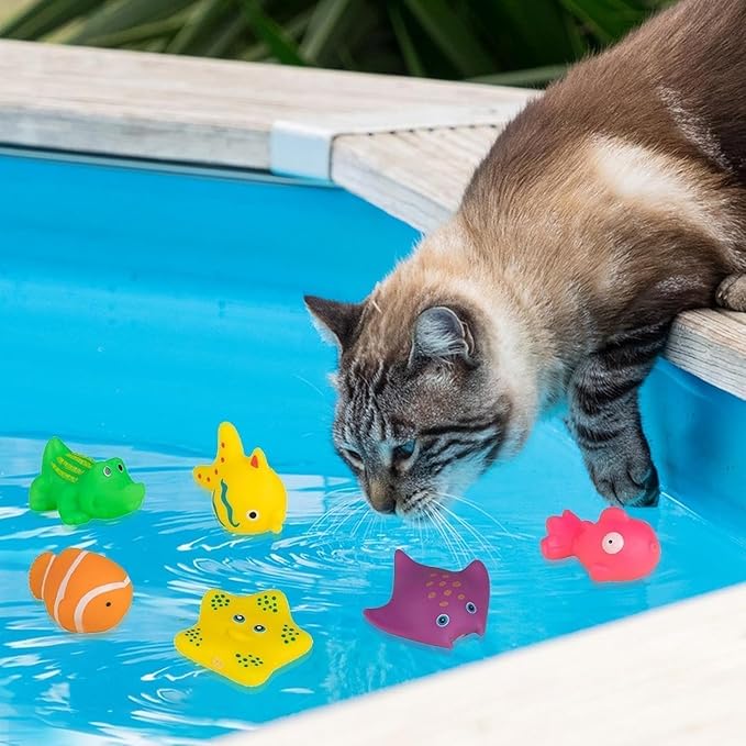 6Pcs Colorful Pool Cat Interactive Toy, Cat Floating Water Toy, Pet Kitten Swimming Bathing Fish Toy, Sensory Toys for Indoor Cats to Self Play