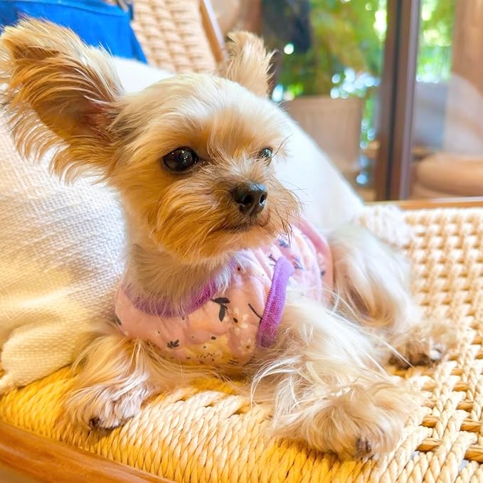 2-Piece Tiny Pet Clothes, Ultra Soft Sweater Shirts for Newborn/Teacup Cats & Dogs (e.g., Chihuahuas, Yorkies, Miniature Pinscher), Other Small Animals (Reindeer, XXXS)