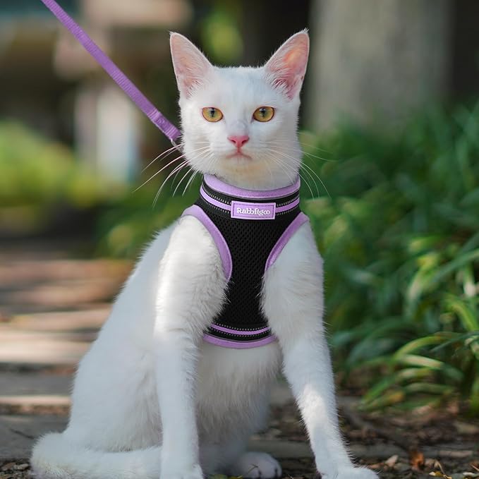 rabbitgoo Cat Harness and Leash Set for Walking Escape Proof, Adjustable Soft Kittens Vest with Reflective Strip for Cats, Comfortable Outdoor Vest, Black & Light Purple, S