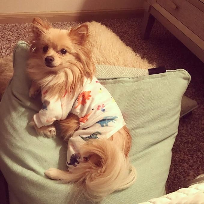 CuteBone Dog Halloween Pajamas Puppy Onesies Small Dogs Soft Pjs Coat Cat Apparel Comfy Pet Christmas Clothes Outfit Doggie Bodysuit PJD02