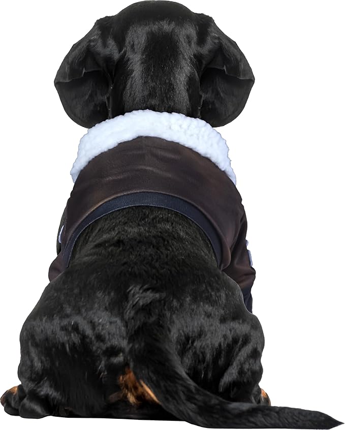 Top Gun: Maverick Pet Costume for For Dogs or Cats by Rubies, Large