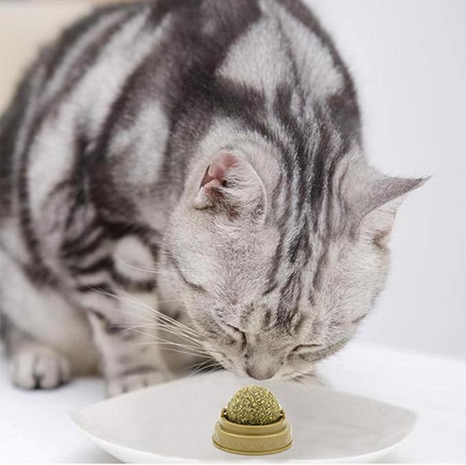 Snacks Catnip Ball Treats Solid