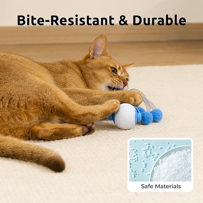 Cat Toys for Indoor Cats, Interactive Cat Toy Ball with Pom-Pom Tails, Automatic Cat Toy Self Play Exercise Toy to Relieve Boredom for Kitten & Adult Cats (Blue)